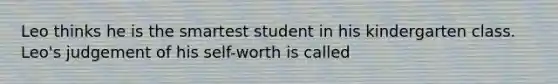 Leo thinks he is the smartest student in his kindergarten class. Leo's judgement of his self-worth is called