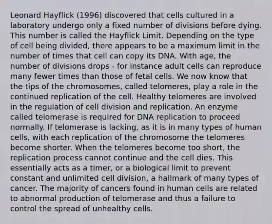 Leonard Hayflick (1996) discovered that cells cultured in a laboratory undergo only a fixed number of divisions before dying. This number is called the Hayflick Limit. Depending on the type of cell being divided, there appears to be a maximum limit in the number of times that cell can copy its DNA. With age, the number of divisions drops - for instance adult cells can reproduce many fewer times than those of fetal cells. We now know that the tips of the chromosomes, called telomeres, play a role in the continued replication of the cell. Healthy telomeres are involved in the regulation of cell division and replication. An enzyme called telomerase is required for DNA replication to proceed normally. If telomerase is lacking, as it is in many types of human cells, with each replication of the chromosome the telomeres become shorter. When the telomeres become too short, the replication process cannot continue and the cell dies. This essentially acts as a timer, or a biological limit to prevent constant and unlimited cell division, a hallmark of many types of cancer. The majority of cancers found in human cells are related to abnormal production of telomerase and thus a failure to control the spread of unhealthy cells.