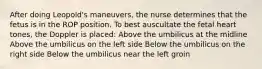 After doing Leopold's maneuvers, the nurse determines that the fetus is in the ROP position. To best auscultate the fetal heart tones, the Doppler is placed: Above the umbilicus at the midline Above the umbilicus on the left side Below the umbilicus on the right side Below the umbilicus near the left groin