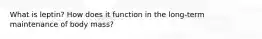 What is leptin? How does it function in the long-term maintenance of body mass?