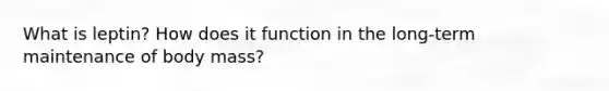 What is leptin? How does it function in the long-term maintenance of body mass?