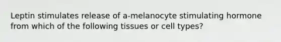 Leptin stimulates release of a-melanocyte stimulating hormone from which of the following tissues or cell types?