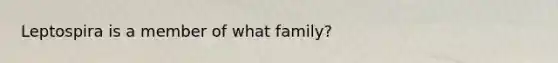 Leptospira is a member of what family?