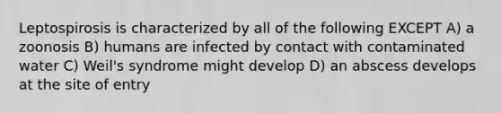 Leptospirosis is characterized by all of the following EXCEPT A) a zoonosis B) humans are infected by contact with contaminated water C) Weil's syndrome might develop D) an abscess develops at the site of entry