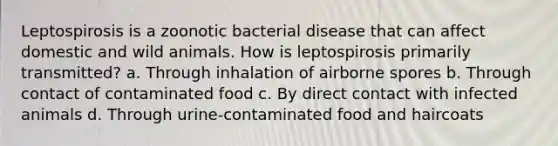 Leptospirosis is a zoonotic bacterial disease that can affect domestic and wild animals. How is leptospirosis primarily transmitted? a. Through inhalation of airborne spores b. Through contact of contaminated food c. By direct contact with infected animals d. Through urine-contaminated food and haircoats