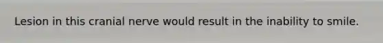 Lesion in this cranial nerve would result in the inability to smile.