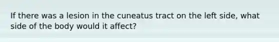 If there was a lesion in the cuneatus tract on the left side, what side of the body would it affect?