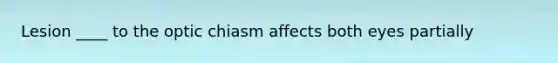 Lesion ____ to the optic chiasm affects both eyes partially