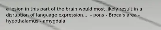 a lesion in this part of the brain would most likely result in a disruption of language expression.... - pons - Broca's area - hypothalamus - amygdala