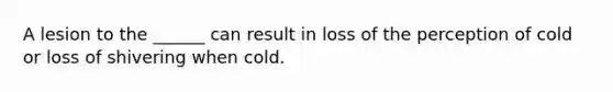 A lesion to the ______ can result in loss of the perception of cold or loss of shivering when cold.