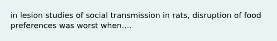 in lesion studies of social transmission in rats, disruption of food preferences was worst when....