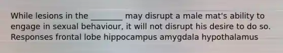 While lesions in the ________ may disrupt a male mat's ability to engage in sexual behaviour, it will not disrupt his desire to do so. Responses frontal lobe hippocampus amygdala hypothalamus