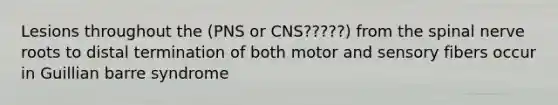 Lesions throughout the (PNS or CNS?????) from the spinal nerve roots to distal termination of both motor and sensory fibers occur in Guillian barre syndrome