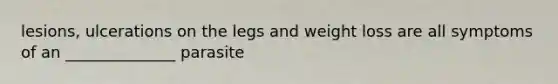 lesions, ulcerations on the legs and weight loss are all symptoms of an ______________ parasite