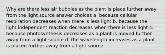 Why are there less air bubbles as the plant is place further away from the light source answer choices a. because <a href='https://www.questionai.com/knowledge/k1IqNYBAJw-cellular-respiration' class='anchor-knowledge'>cellular respiration</a> decreases when there is less light b. because the light independent reaction decreases when there is less light c. because photosynthesis decreases as a plant is moved further away from a light source d. the wavelength increases as a plant is placed further away from a light source