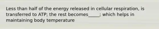 Less than half of the energy released in cellular respiration, is transferred to ATP; the rest becomes_____; which helps in maintaining body temperature