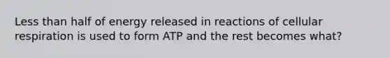 Less than half of energy released in reactions of cellular respiration is used to form ATP and the rest becomes what?