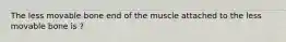 The less movable bone end of the muscle attached to the less movable bone is ?