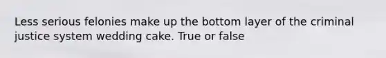 Less serious felonies make up the bottom layer of the criminal justice system wedding cake.​ True or false