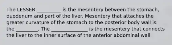 The LESSER __________ is the mesentery between the stomach, duodenum and part of the liver. Mesentery that attaches the greater curvature of the stomach to the posterior body wall is the _________. The _______________ is the mesentery that connects the liver to the inner surface of the anterior abdominal wall.