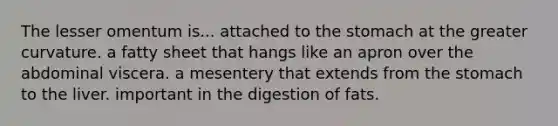 The lesser omentum is... attached to <a href='https://www.questionai.com/knowledge/kLccSGjkt8-the-stomach' class='anchor-knowledge'>the stomach</a> at the greater curvature. a fatty sheet that hangs like an apron over the abdominal viscera. a mesentery that extends from the stomach to the liver. important in the digestion of fats.