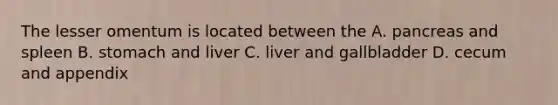 The lesser omentum is located between the A. pancreas and spleen B. stomach and liver C. liver and gallbladder D. cecum and appendix