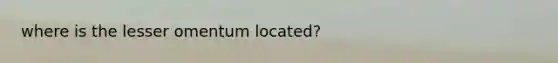 where is the lesser omentum located?