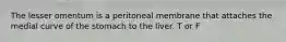 The lesser omentum is a peritoneal membrane that attaches the medial curve of the stomach to the liver. T or F