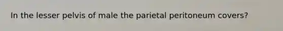 In the lesser pelvis of male the parietal peritoneum covers?