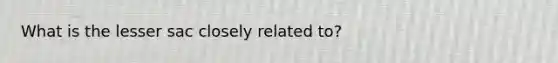 What is the lesser sac closely related to?