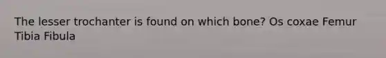 The lesser trochanter is found on which bone? Os coxae Femur Tibia Fibula