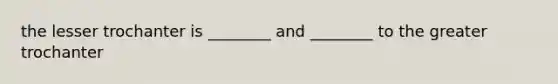 the lesser trochanter is ________ and ________ to the greater trochanter