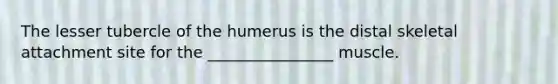The lesser tubercle of the humerus is the distal skeletal attachment site for the ________________ muscle.