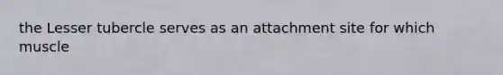 the Lesser tubercle serves as an attachment site for which muscle