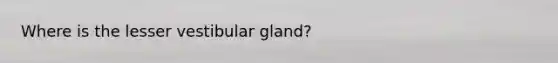 Where is the lesser vestibular gland?