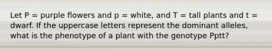 Let P = purple flowers and p = white, and T = tall plants and t = dwarf. If the uppercase letters represent the dominant alleles, what is the phenotype of a plant with the genotype Pptt?