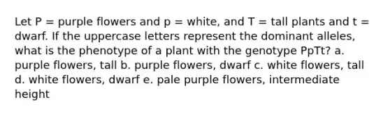 Let P = purple flowers and p = white, and T = tall plants and t = dwarf. If the uppercase letters represent the dominant alleles, what is the phenotype of a plant with the genotype PpTt? a. purple flowers, tall b. purple flowers, dwarf c. white flowers, tall d. white flowers, dwarf e. pale purple flowers, intermediate height