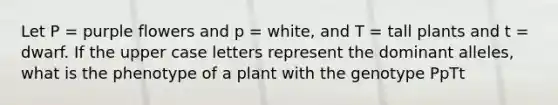 Let P = purple flowers and p = white, and T = tall plants and t = dwarf. If the upper case letters represent the dominant alleles, what is the phenotype of a plant with the genotype PpTt