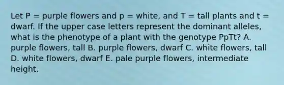 Let P = purple flowers and p = white, and T = tall plants and t = dwarf. If the upper case letters represent the dominant alleles, what is the phenotype of a plant with the genotype PpTt? A. purple flowers, tall B. purple flowers, dwarf C. white flowers, tall D. white flowers, dwarf E. pale purple flowers, intermediate height.