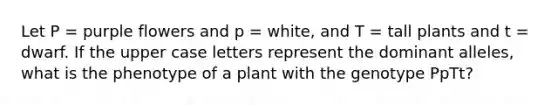 Let P = purple flowers and p = white, and T = tall plants and t = dwarf. If the upper case letters represent the dominant alleles, what is the phenotype of a plant with the genotype PpTt?