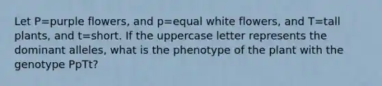 Let P=purple flowers, and p=equal white flowers, and T=tall plants, and t=short. If the uppercase letter represents the dominant alleles, what is the phenotype of the plant with the genotype PpTt?