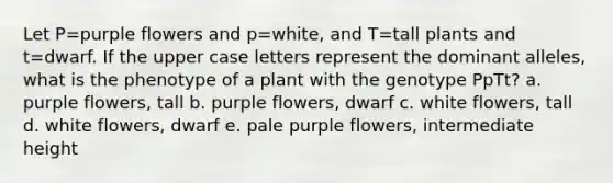 Let P=purple flowers and p=white, and T=tall plants and t=dwarf. If the upper case letters represent the dominant alleles, what is the phenotype of a plant with the genotype PpTt? a. purple flowers, tall b. purple flowers, dwarf c. white flowers, tall d. white flowers, dwarf e. pale purple flowers, intermediate height