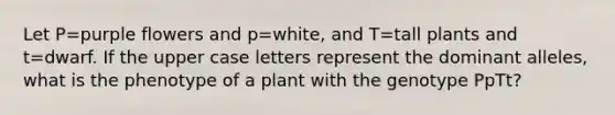 Let P=purple flowers and p=white, and T=tall plants and t=dwarf. If the upper case letters represent the dominant alleles, what is the phenotype of a plant with the genotype PpTt?