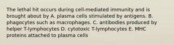 The lethal hit occurs during cell-mediated immunity and is brought about by A. plasma cells stimulated by antigens. B. phagocytes such as macrophages. C. antibodies produced by helper T-lymphocytes D. cytotoxic T-lymphocytes E. MHC proteins attached to plasma cells