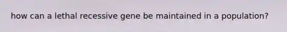how can a lethal recessive gene be maintained in a population?