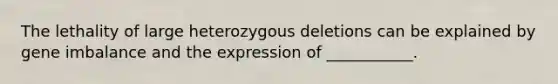 The lethality of large heterozygous deletions can be explained by gene imbalance and the expression of ___________.