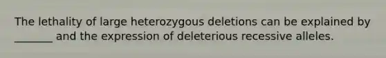 The lethality of large heterozygous deletions can be explained by _______ and the expression of deleterious recessive alleles.