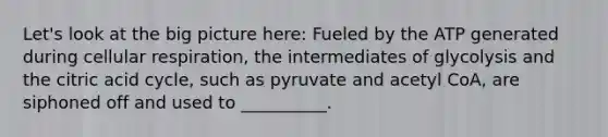 Let's look at the big picture here: Fueled by the ATP generated during cellular respiration, the intermediates of glycolysis and the citric acid cycle, such as pyruvate and acetyl CoA, are siphoned off and used to __________.