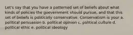 Let's say that you have a patterned set of beliefs about what kinds of policies the goevernment should pursue, and that this set of beliefs is politically conservative. Conservatism is your a. political persuasion b. political opinion c. political culture d. political ethic e. political ideology