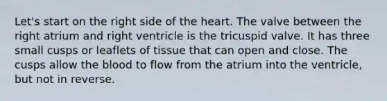 Let's start on the right side of <a href='https://www.questionai.com/knowledge/kya8ocqc6o-the-heart' class='anchor-knowledge'>the heart</a>. The valve between the right atrium and right ventricle is the tricuspid valve. It has three small cusps or leaflets of tissue that can open and close. The cusps allow <a href='https://www.questionai.com/knowledge/k7oXMfj7lk-the-blood' class='anchor-knowledge'>the blood</a> to flow from the atrium into the ventricle, but not in reverse.